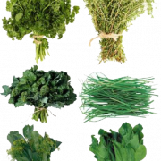 Herb PNG Images
