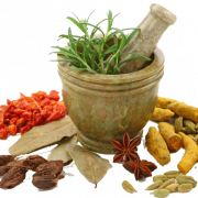 Herb PNG Photo