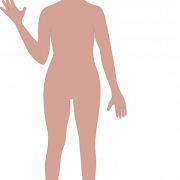Body Free Download PNG