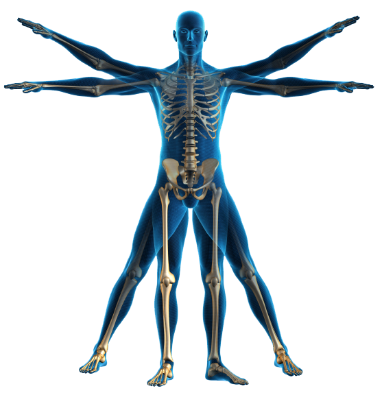 Body PNG Image File