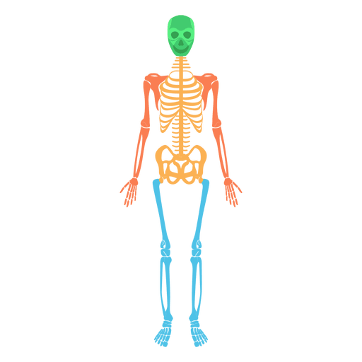 Body PNG Image