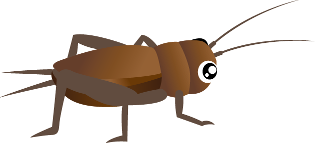 Cricket Insect PNG File