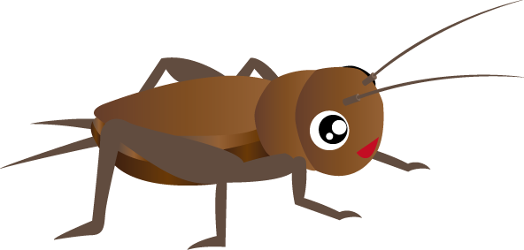 Cricket Insect PNG HD