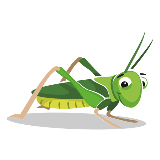 Cricket Insect PNG Image