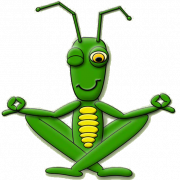 Cricket insect png pic