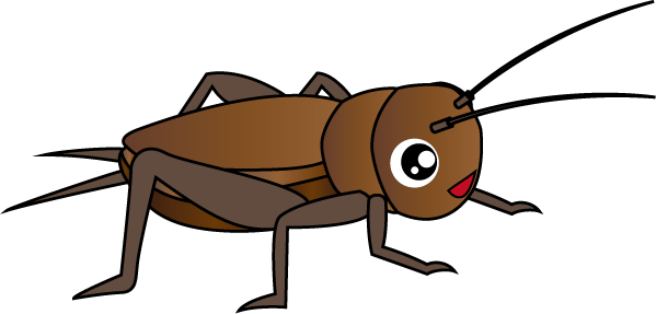 Cricket Insect PNG Picture