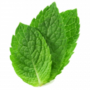 Mint PNG -afbeelding