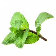 Mint png afbeelding hd