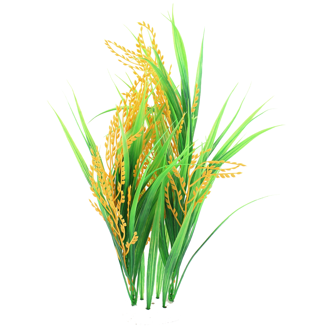Rice High Quality PNG