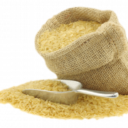 Rice PNG HD