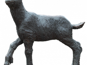 Lamb PNG -bestand