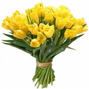 Bouquet Flower PNG Téléchargement gratuit