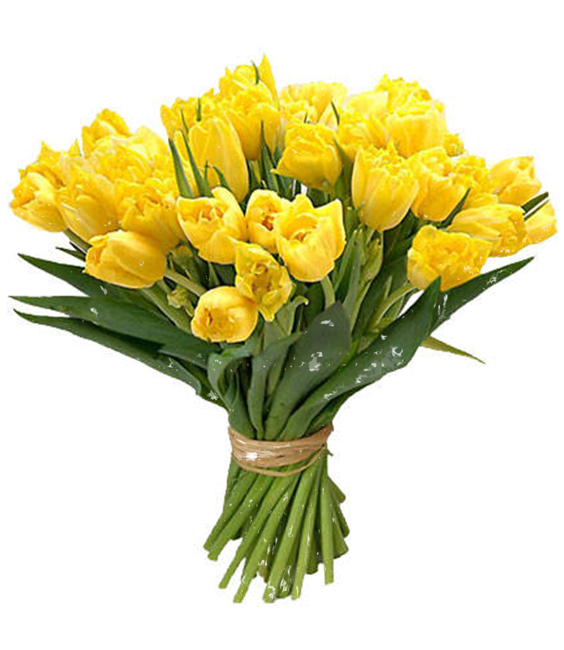 Bouquet Flower PNG Free Download