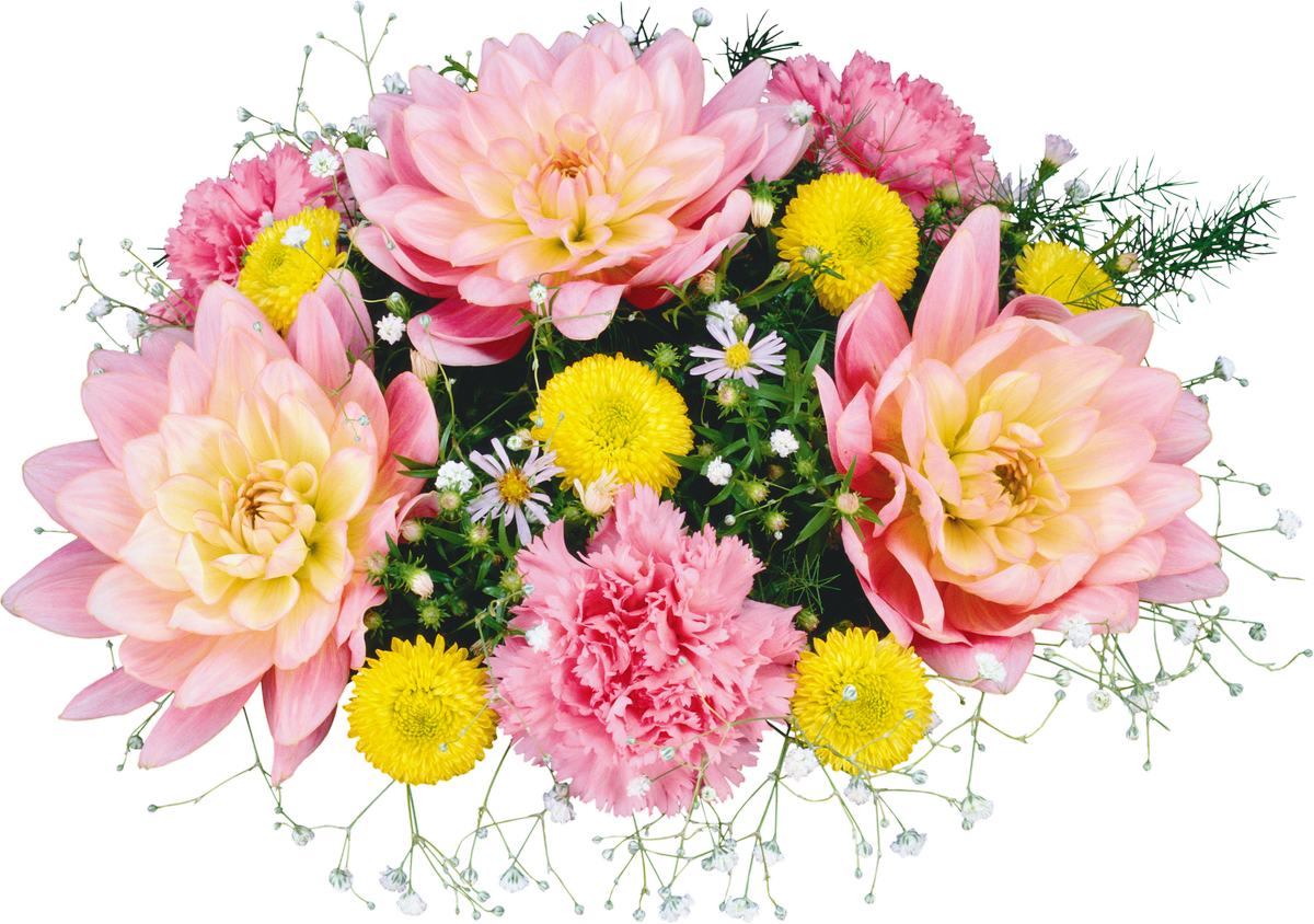 Flower Bouquet PNG Transparent Images | PNG All
