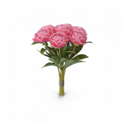 Bouquet png larawan