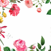 Floral Frame Png Image File
