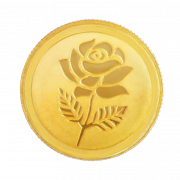 Gold Coin PNG Image File