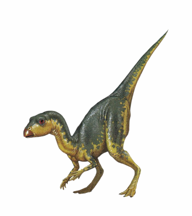 Jurassic Park Dinosaur PNG HD Image