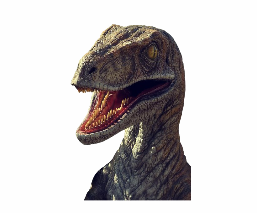 Jurassic Park Dinosaur PNG