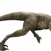 Jurassic Park PNG Image Download Bild