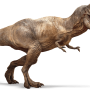 Jurassic Park Png Pic
