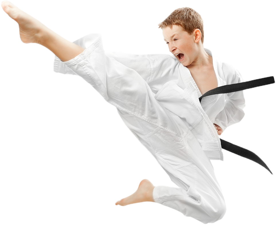 Karate Boy PNG Image
