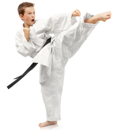 Karate Boy PNG