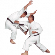 Descarga gratuita de Karate png
