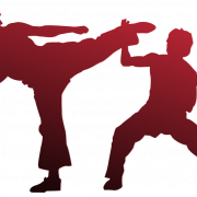 Karate Silhouette PNG Clipart