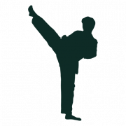 Karate Silhouette PNG Free Image