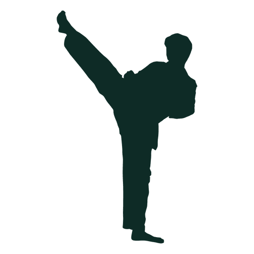Karate Silhouette PNG Free Image