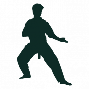 Karate Silhouette PNG Image