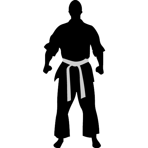 Karate Silhouette PNG Pic