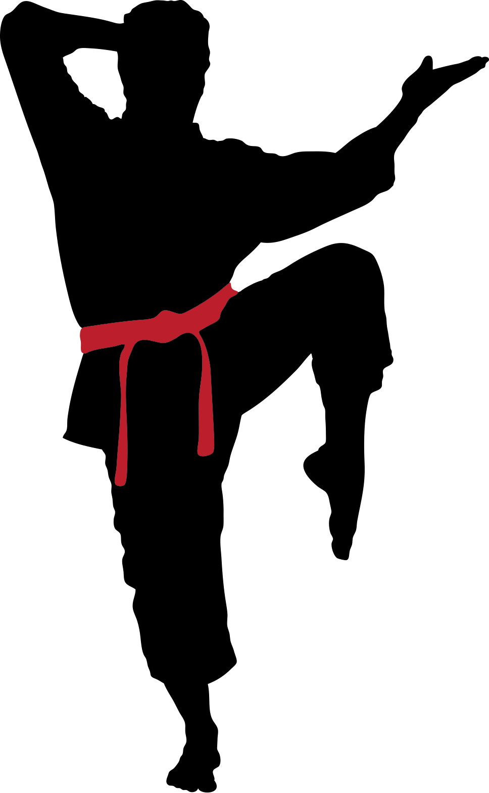 Karate Silhouette PNG Picture