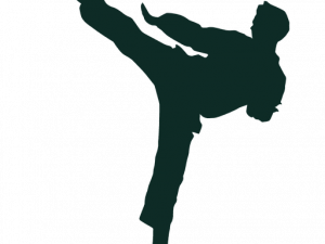 Karate silhouet transparant