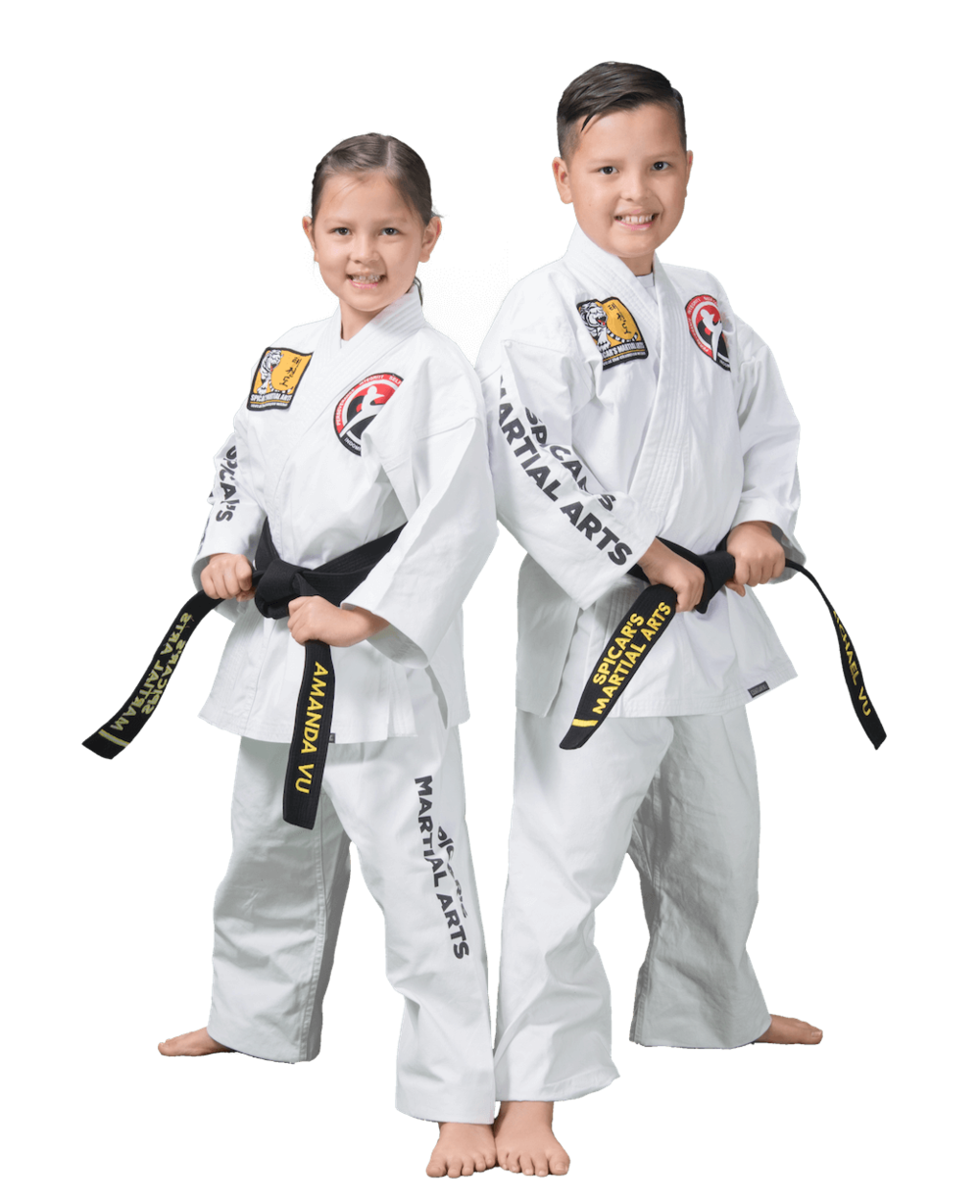 Kids Karate PNG Image
