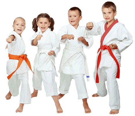 Kids Karate PNG