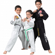 Kids Karate Transparent