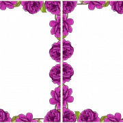 Lilac PNG Picture