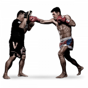 MMA Fight PNG File