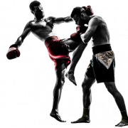 Descarga gratuita de MMA Fight PNG