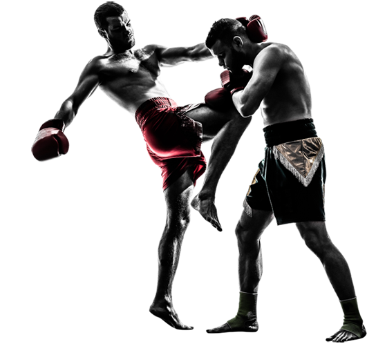 MMA Fight PNG Free Download