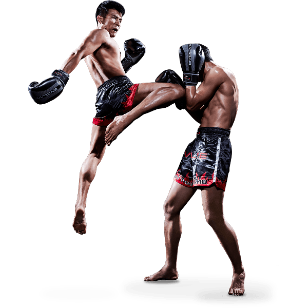 MMA Fight PNG Image