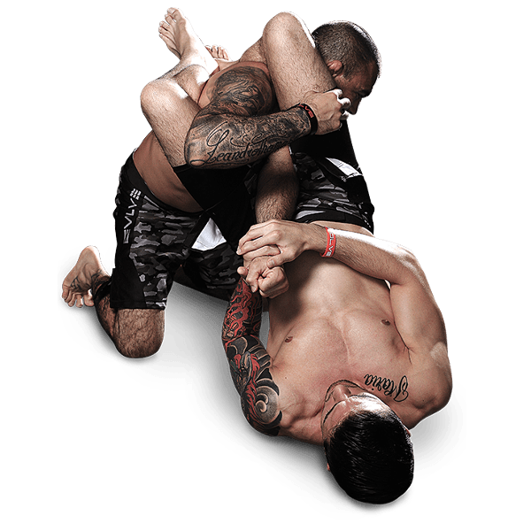 MMA Fight Transparent