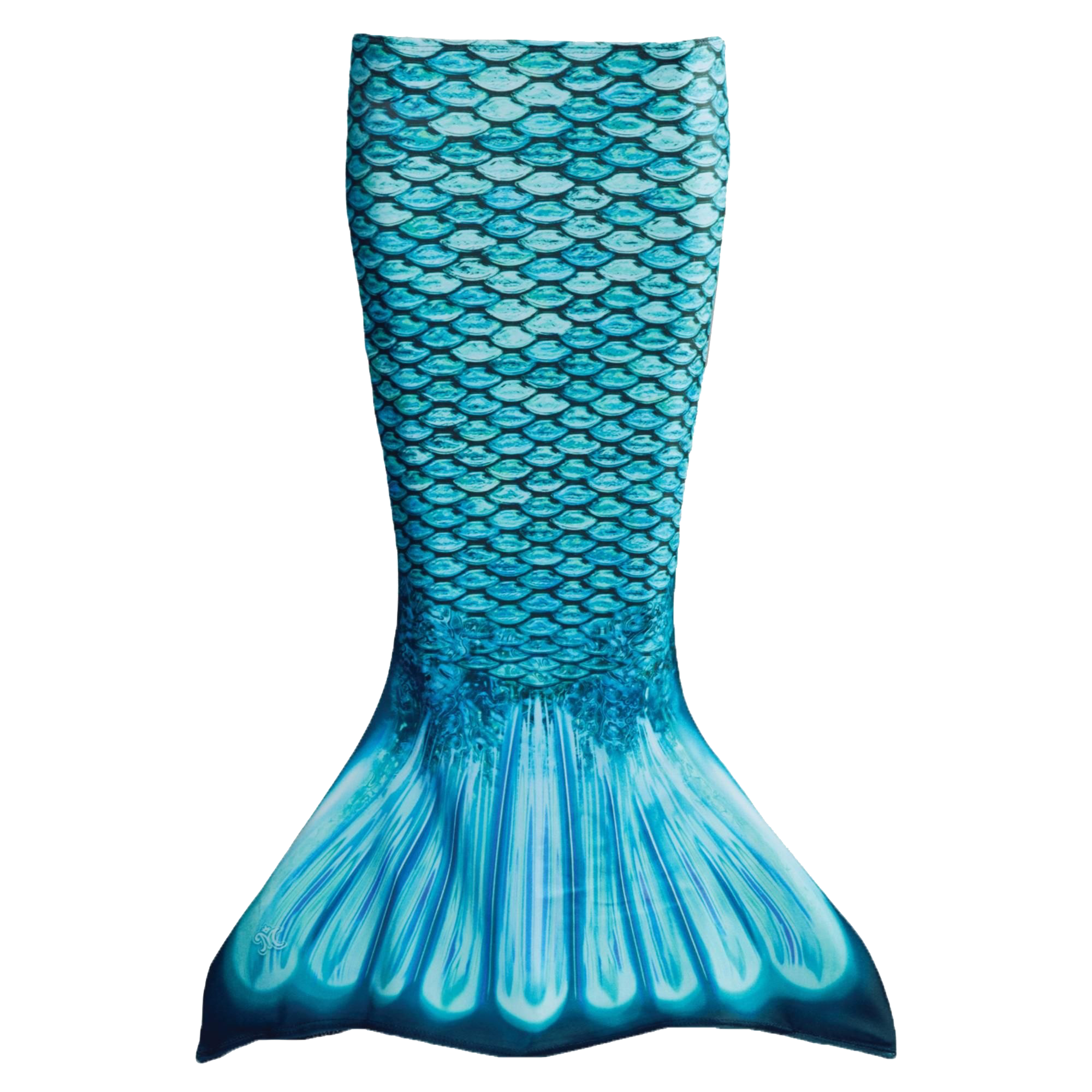 Mermaid Tail PNG Free Download