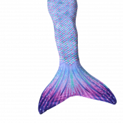 Mermaid Tail PNG Image