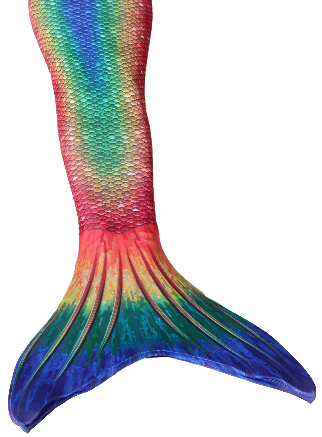 Mermaid Tail PNG
