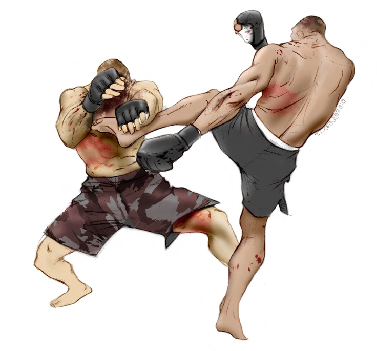 Mixed Martial Arts PNG Free Image