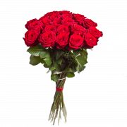 Rose Bouquet PNG Image gratuite