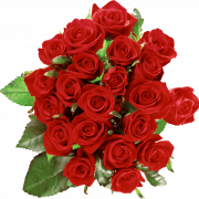 Rose Bouquet PNG Bild